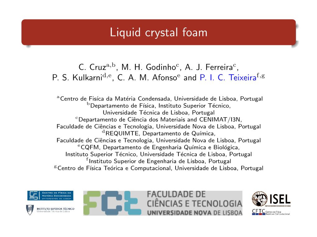 Liquid Crystal Foam