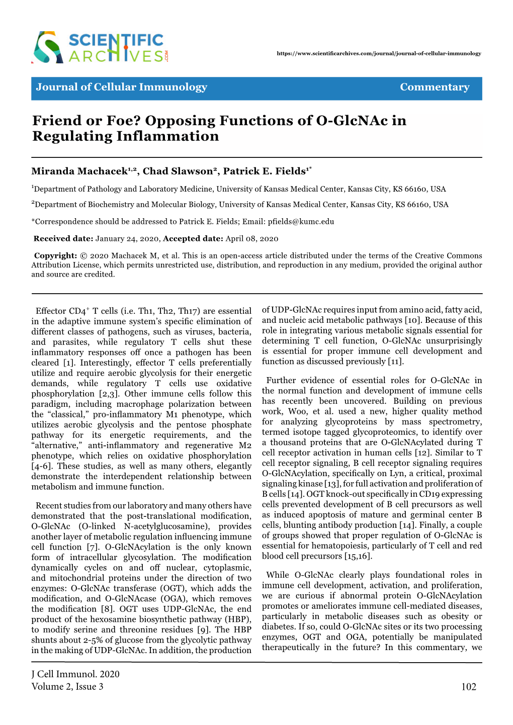 Friend Or Foe? Opposing Functions of O-Glcnac in Regulating Inflammation