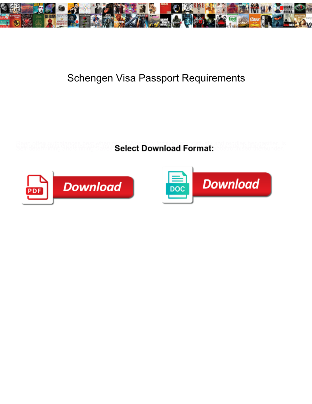 Schengen Visa Passport Requirements