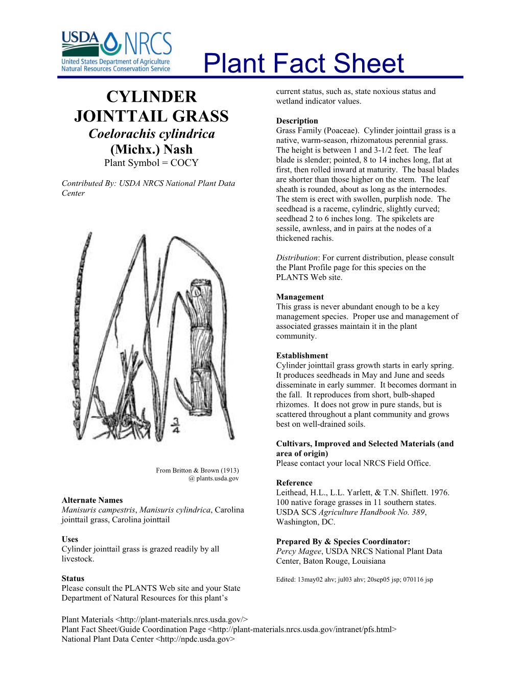 Cylinder Jointtail Grass Is a Coelorachis Cylindrica Native, Warm-Season, Rhizomatous Perennial Grass