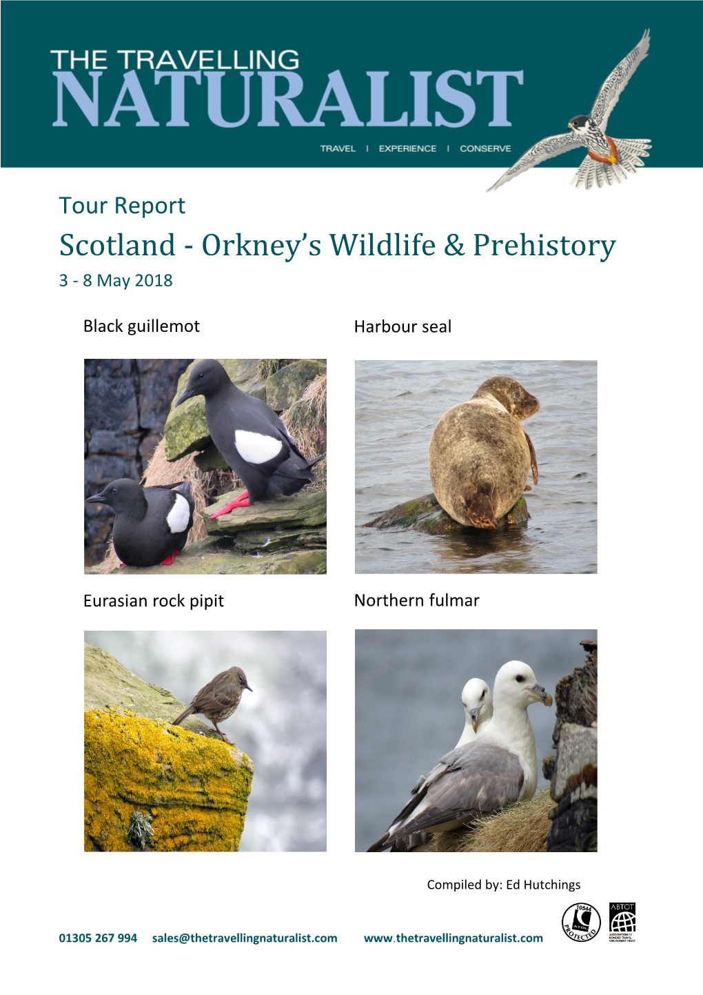 Scotland - Orkney’S Wildlife & Prehistory 3 - 8 May 2018