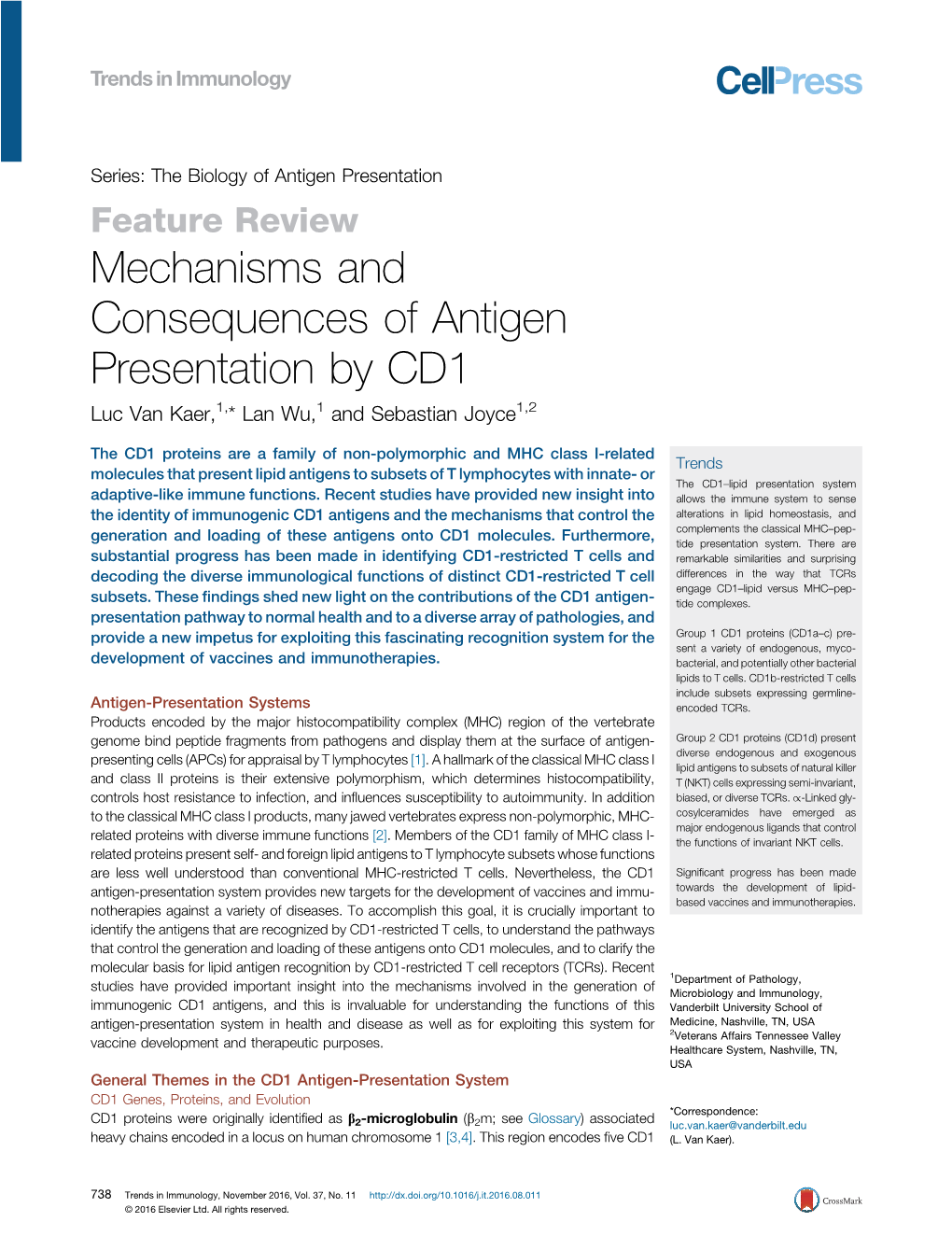 Mechanisms and Consequences of Antigen Presentation By