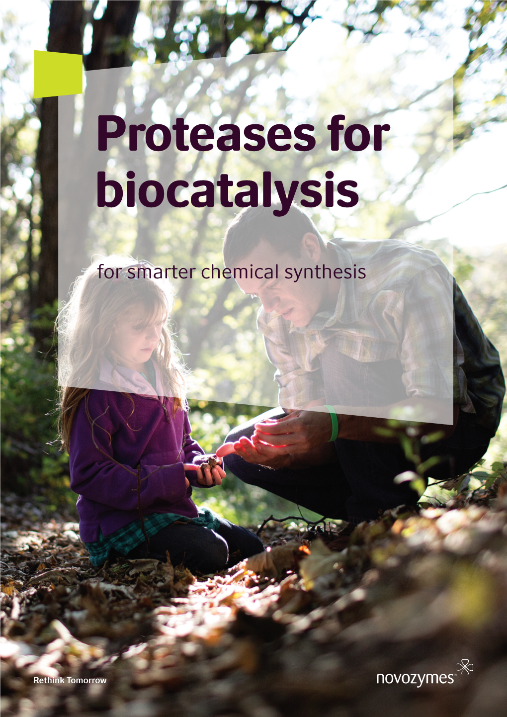 Proteases for Biocatalysis