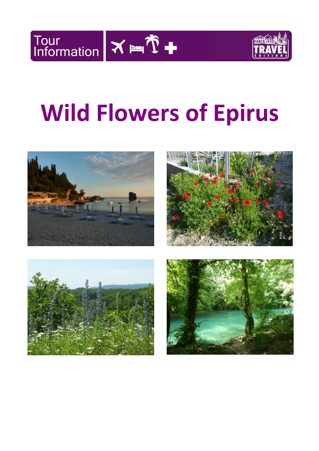 Wild Flowers of Epirus