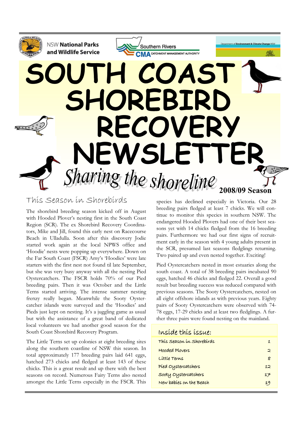 South Coast Shorebird Recovery Newsletter