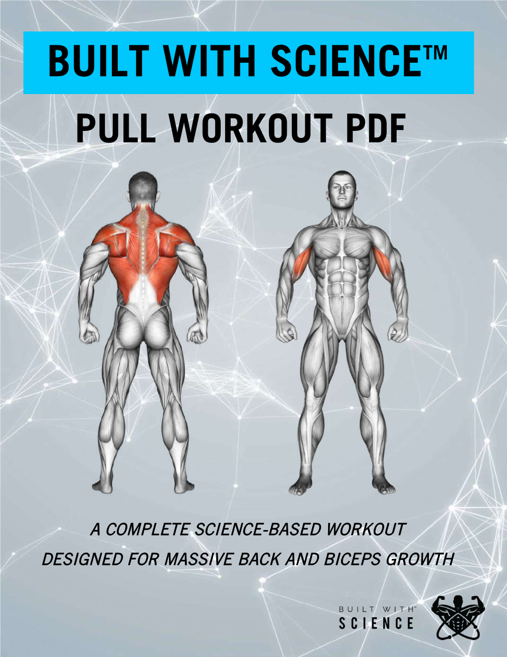 Pull Workout Pdf