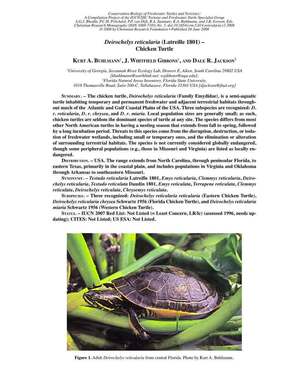 Deirochelys Reticularia (Latreille 1801) – Chicken Turtle