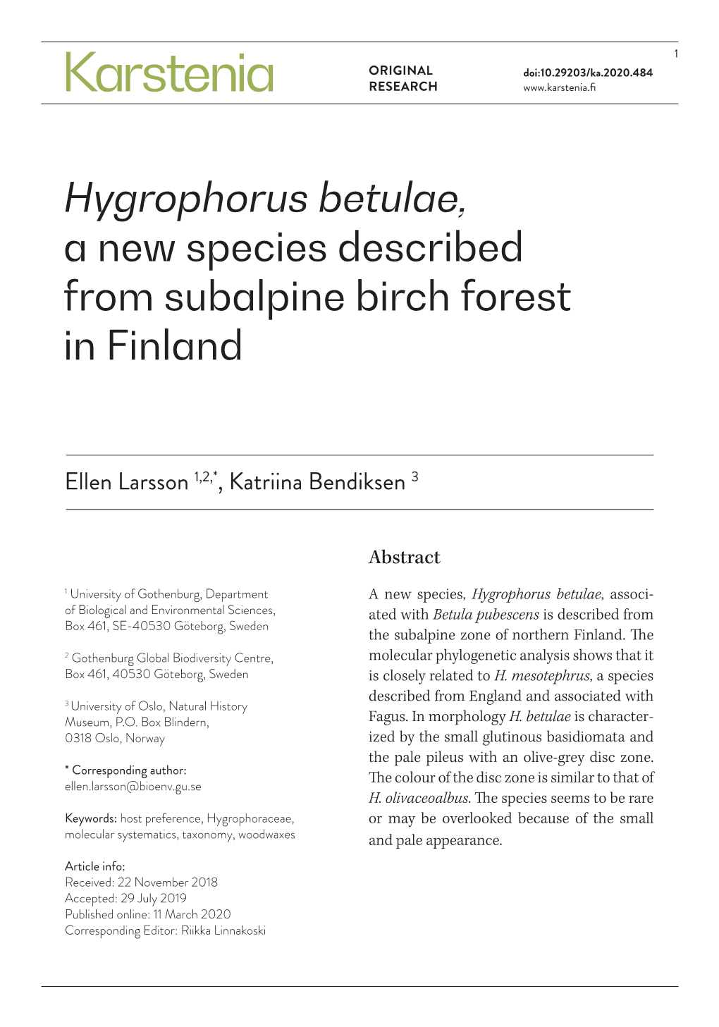 Hygrophorus Betulae, a New Species Described from Subalpine Birch Forest in Finland