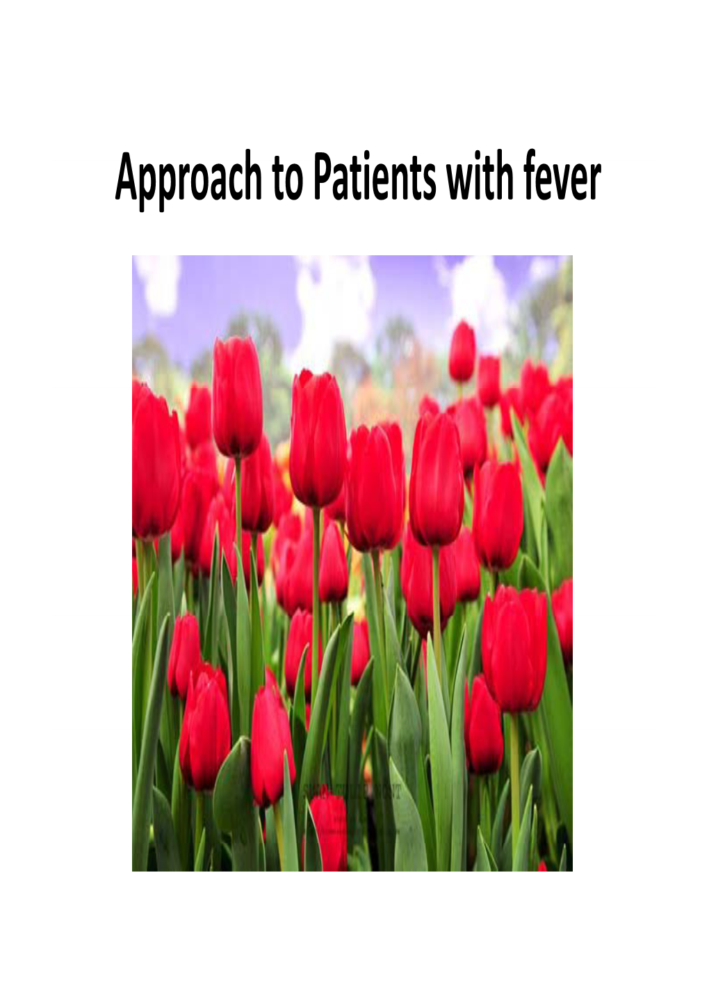 A Ht P Ti T Ithf Approach to Patients with Fever