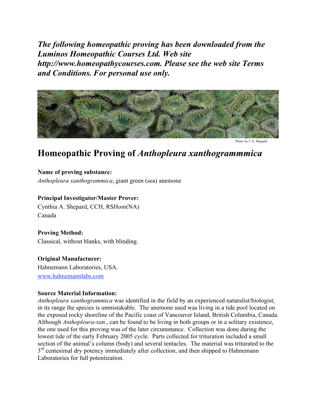 Homeopathic Proving of Anthopleura Xanthogrammmica