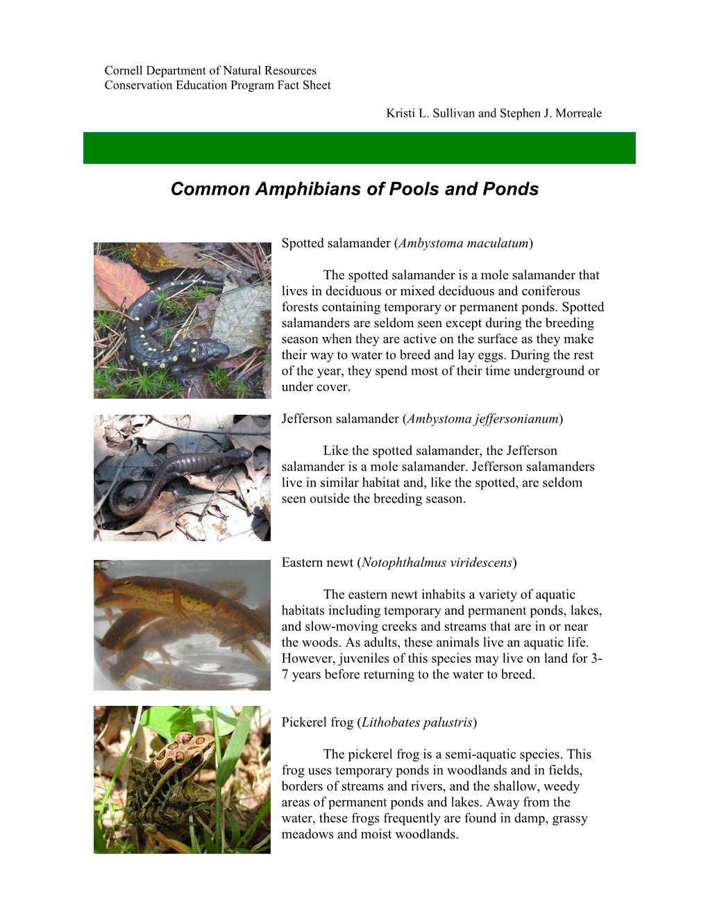 Amphibians of Forest Pools and Ponds