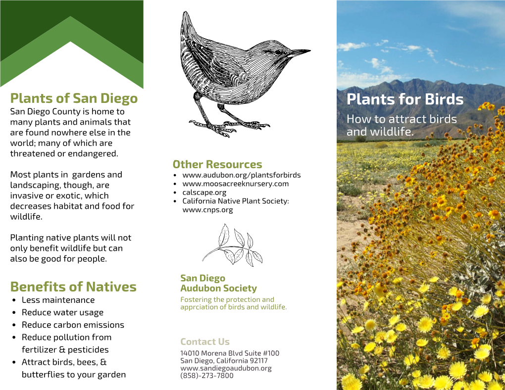 Plants for Birds San Diego County Is Home to Many Plants and Animals That How to Attract Birds Are Found Nowhere Else in the and Wildlife