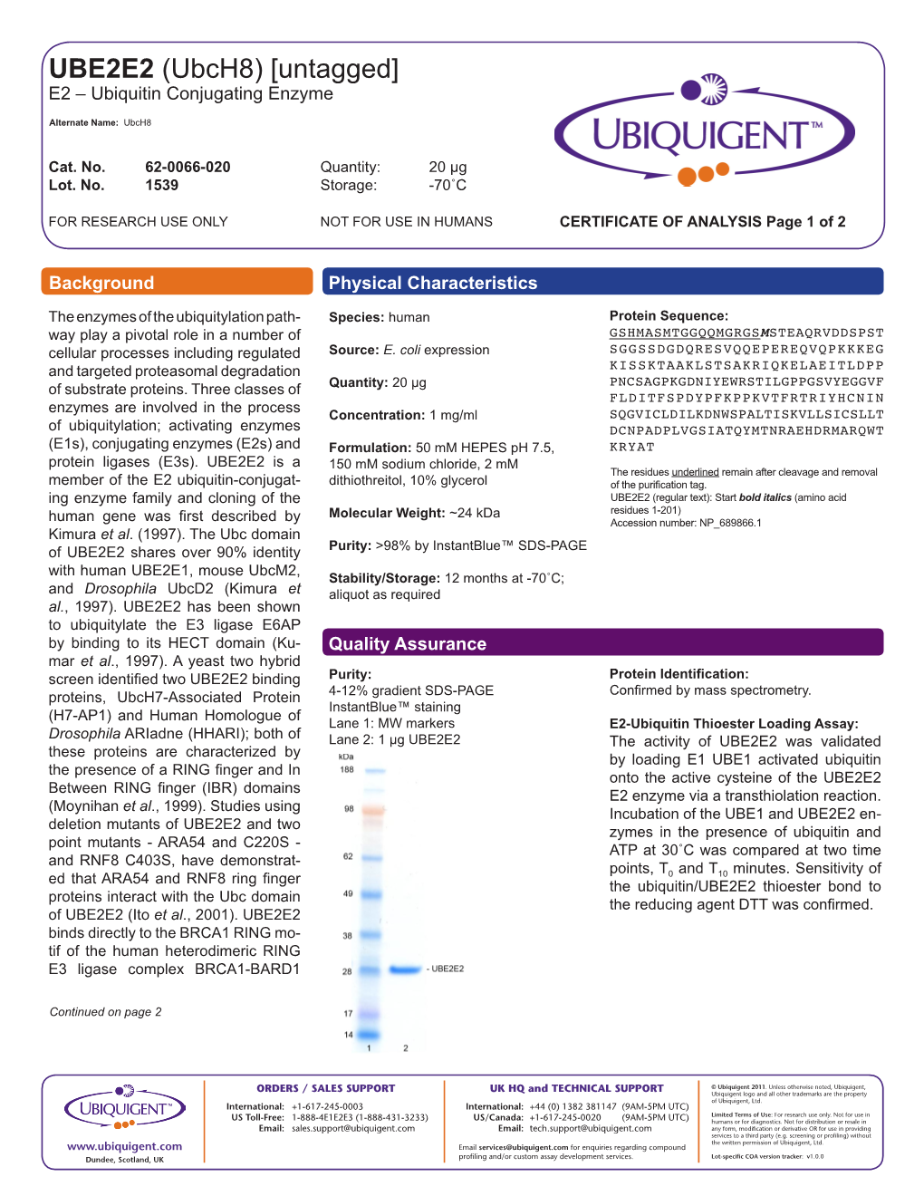 UBE2E2 (Ubch8) [Untagged] E2 – Ubiquitin Conjugating Enzyme