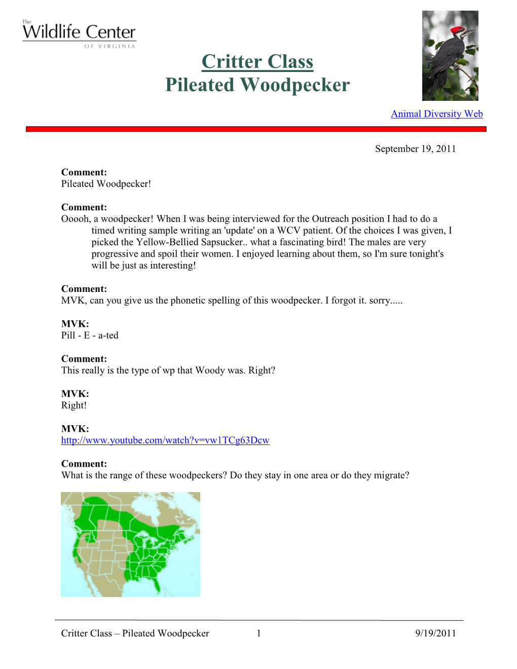 Critter Class Pileated Woodpecker