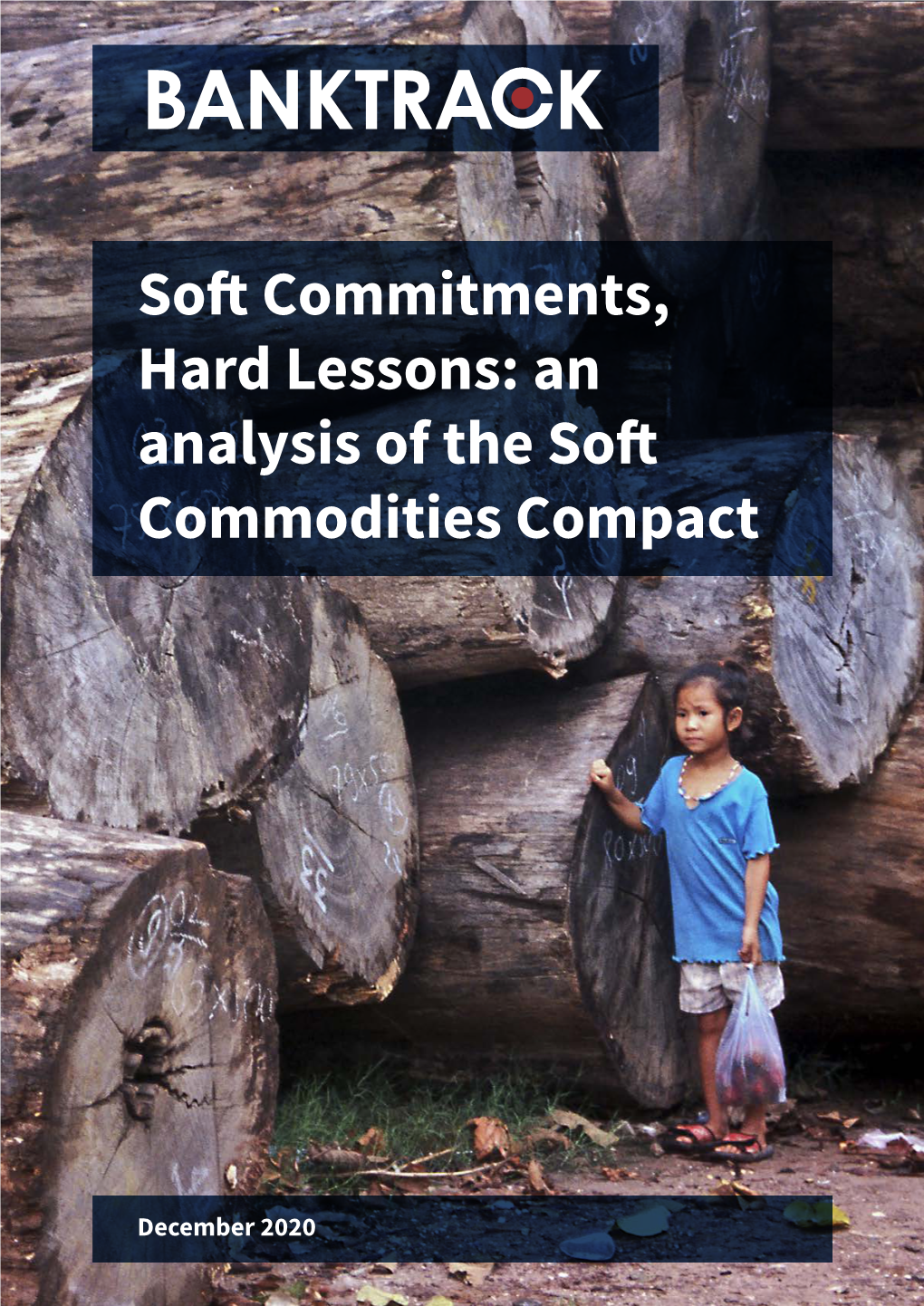 Soft Commitments, Hard Lessons: an Analysis of the Soft Commodities Compact