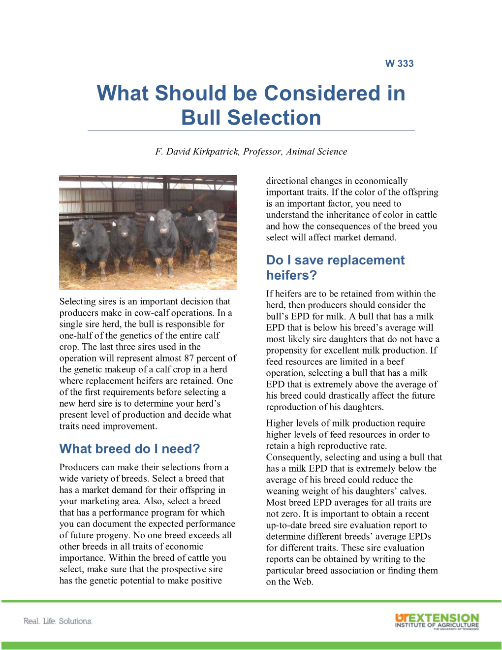 What Should Be Considered in Bull Selection