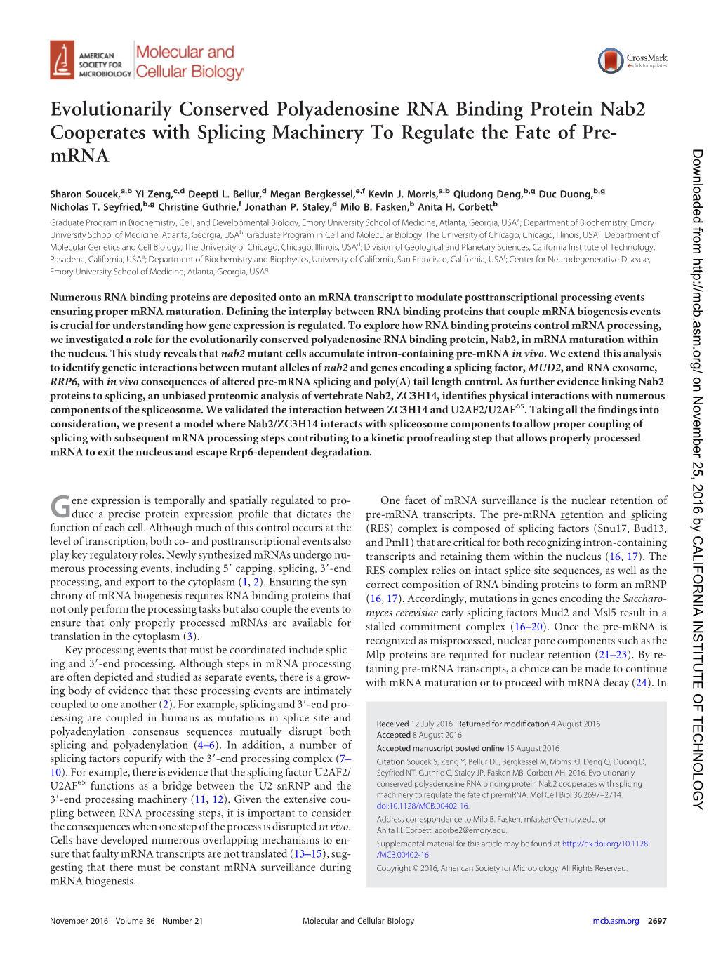 Evolutionarily Conserved Polyadenosine RNA Binding Protein Nab2 Cooperates with Splicing Machinery to Regulate the Fate of Pre- Mrna Downloaded From