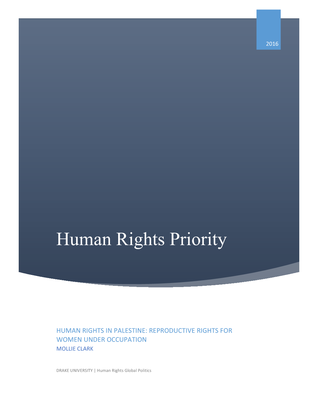 Human Rights Priority: Human Rights in Palestine: Reproductive Rights