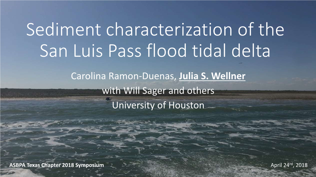 Sediment Characterization of the San Luis Pass Flood Tidal Delta Carolina Ramon-Duenas, Julia S