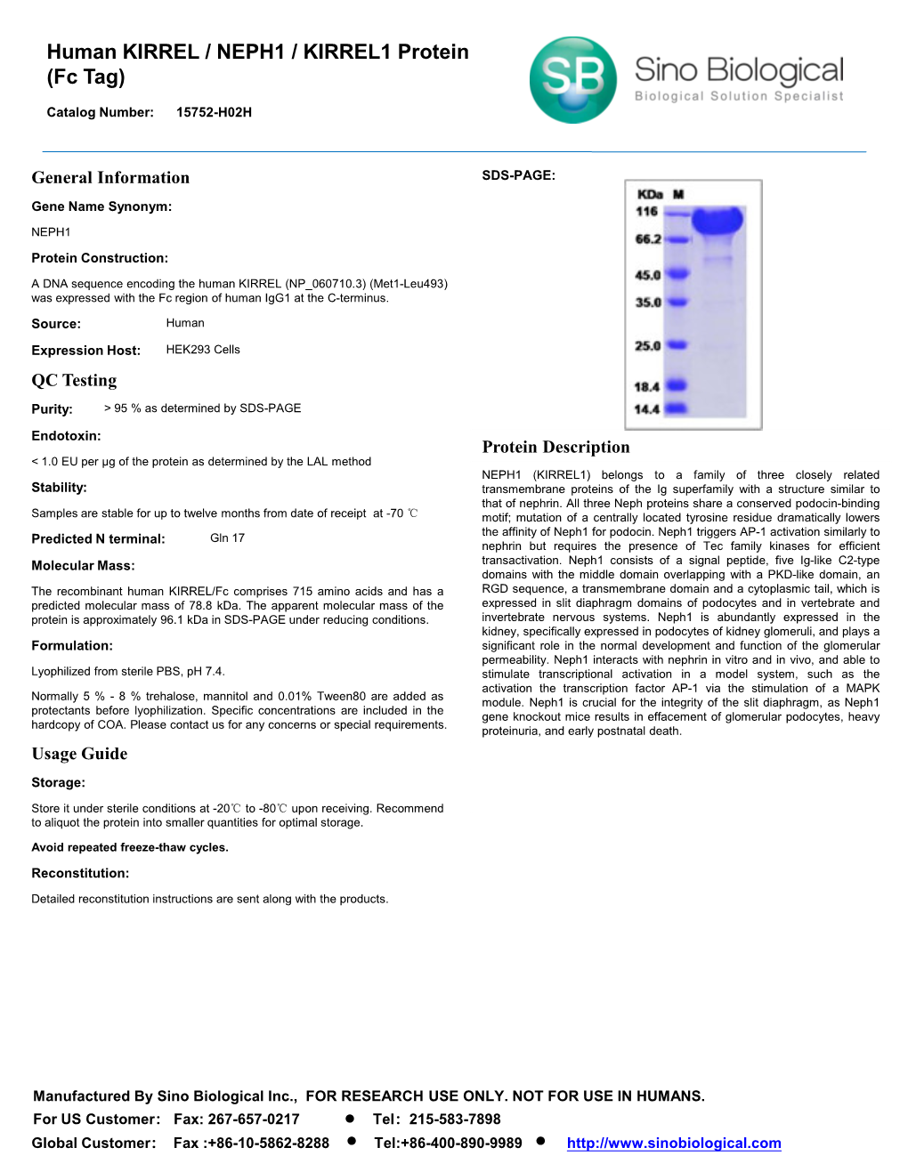 Human KIRREL / NEPH1 / KIRREL1 Protein (Fc Tag)