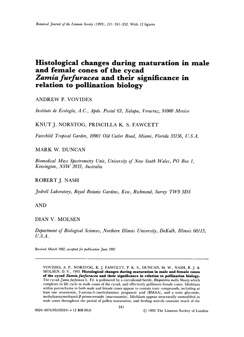 Histological Changes During Maturation in Male Zamia