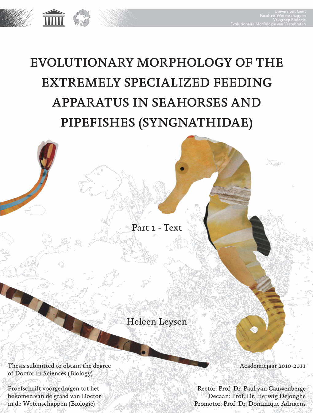 Evolutionary Morphology of the Extremely Specialized Feeding Apparatus in Seahorses and Pipefishes (Syngnathidae) ( Syngnathidae