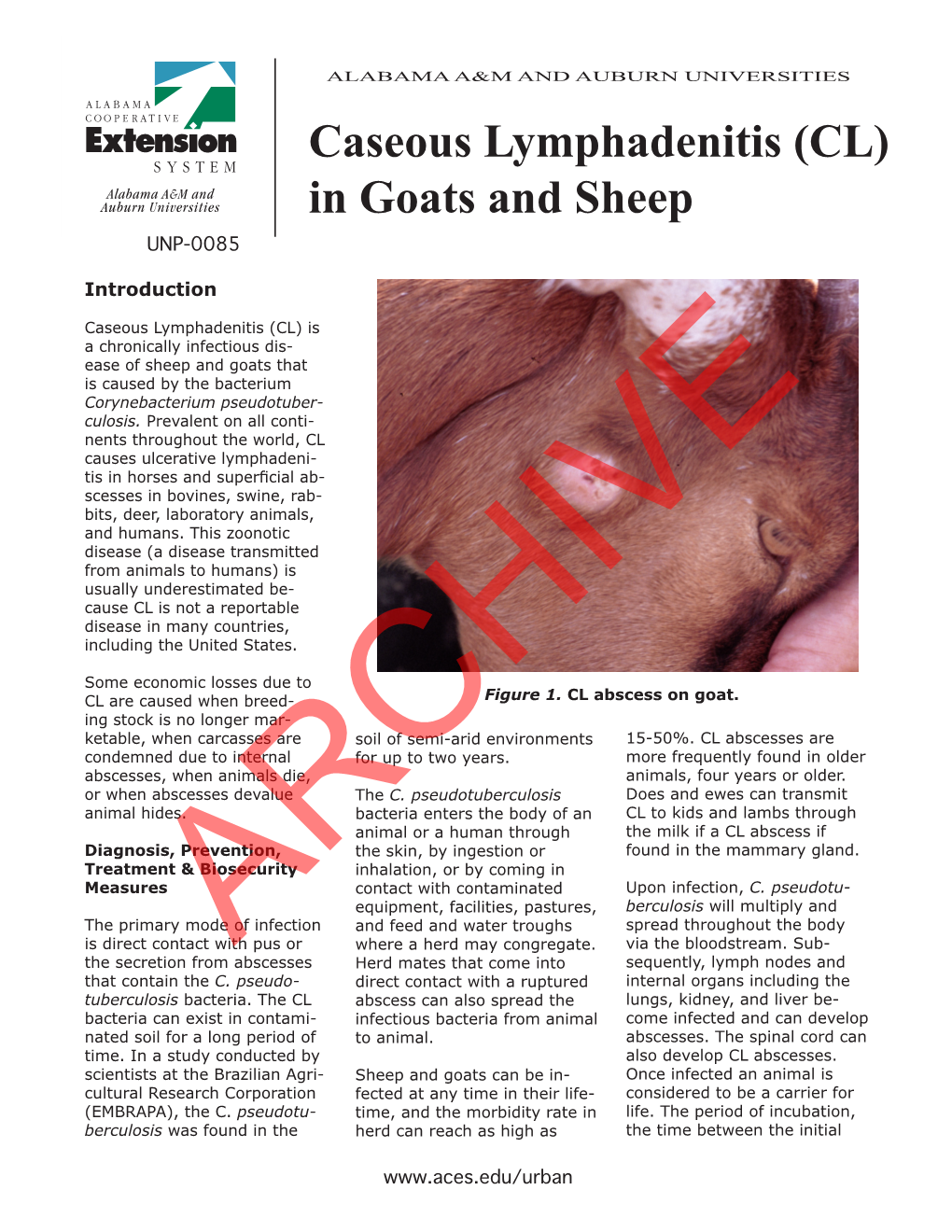 Caseous Lymphadenitis (CL) in Goats and Sheep UNP-0085