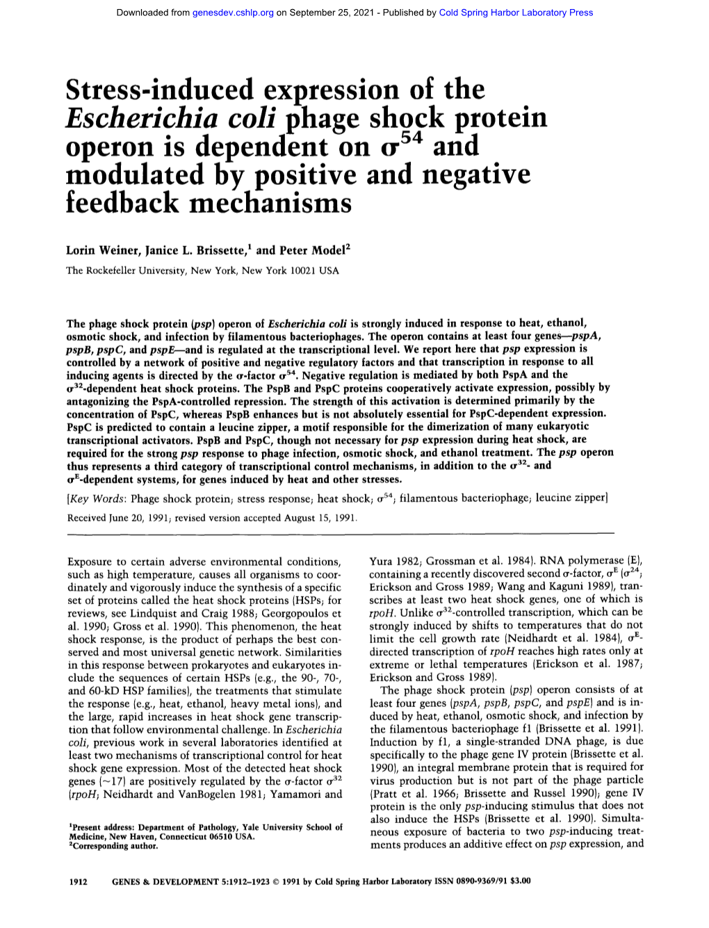 Stress-Induced Expression of the Escherichia Coli Phage Shock Protein Operon Is D,E P Endent on 0 -54 and Modulated by Positive and Negative Feedback Mechanisms