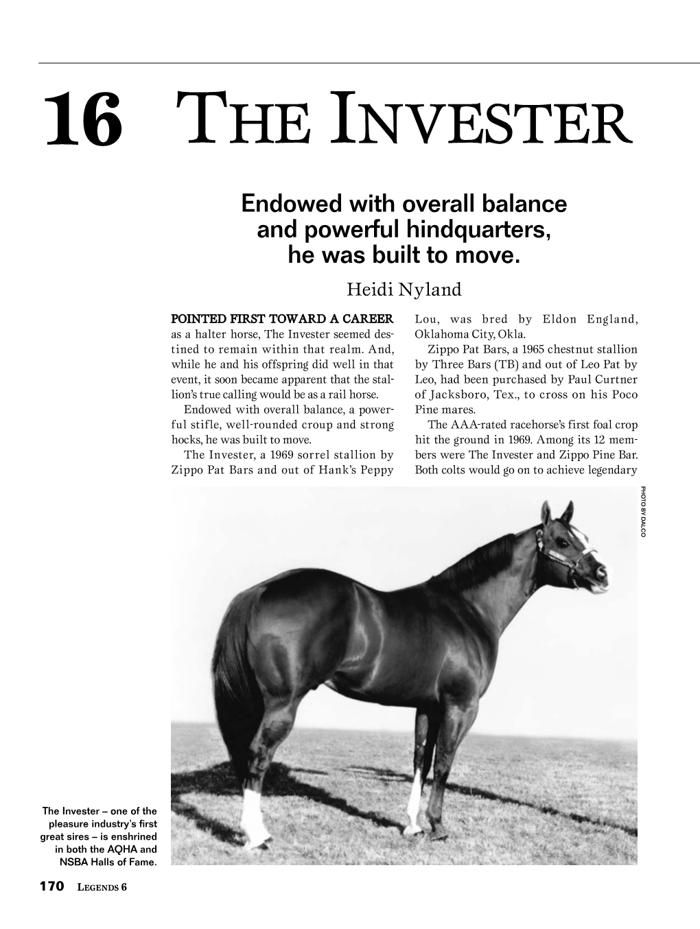 The Invester