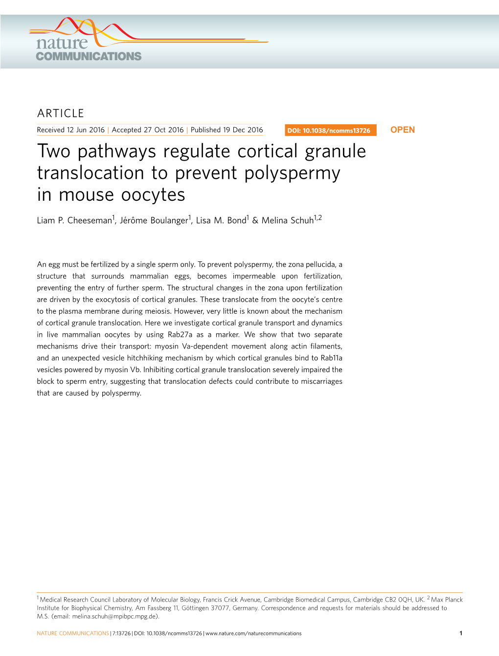 Two Pathways Regulate Cortical Granule Translocation to Prevent Polyspermy in Mouse Oocytes