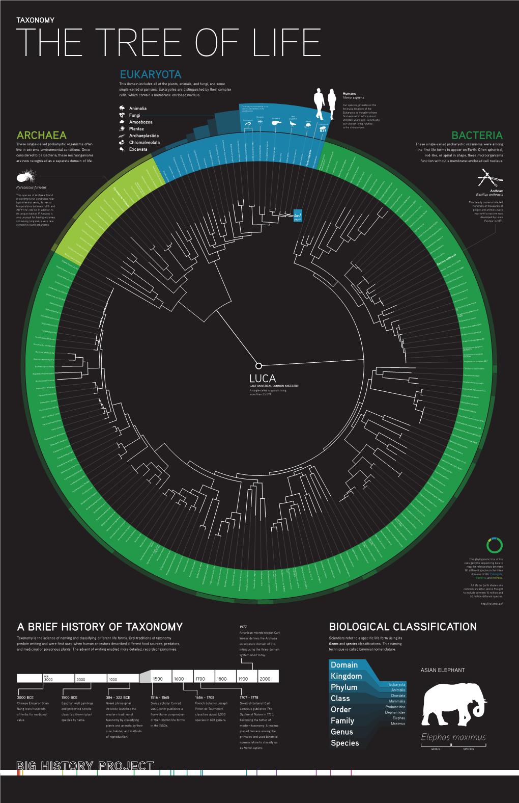 A Brief History of Taxonomy Biological Classification