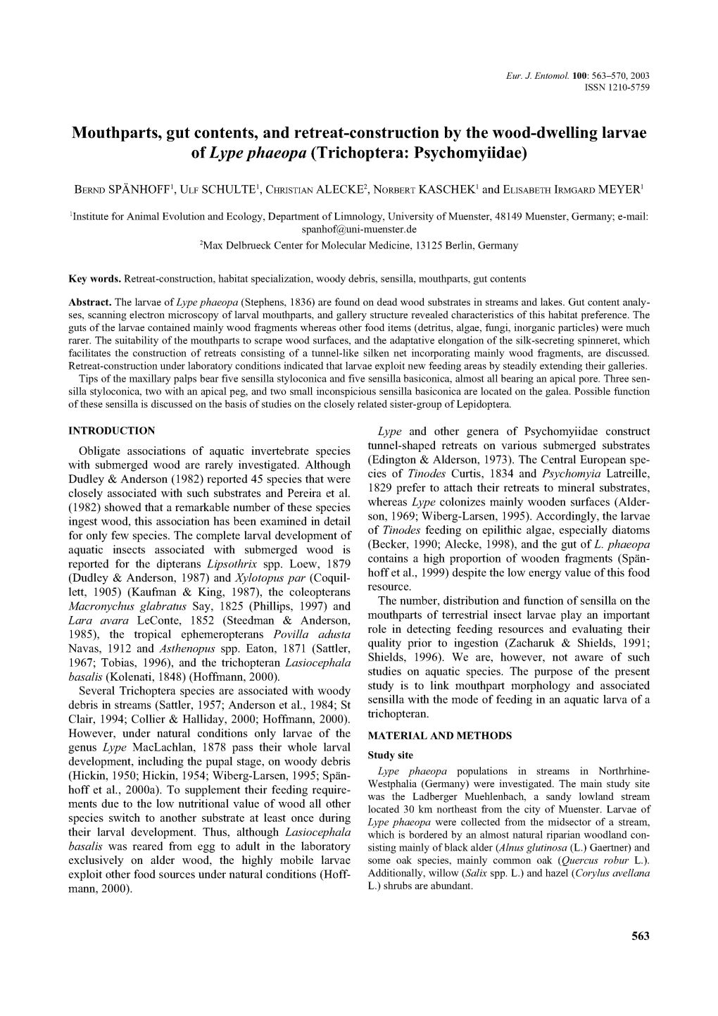 Mouthparts, Gut Contents, and Retreat-Construction by the Wood-Dwelling Larvae of Lype Phaeopa (Trichoptera: Psychomyiidae)