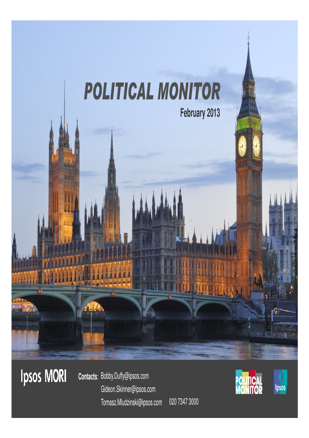 POLITICAL MONITOR February 2013