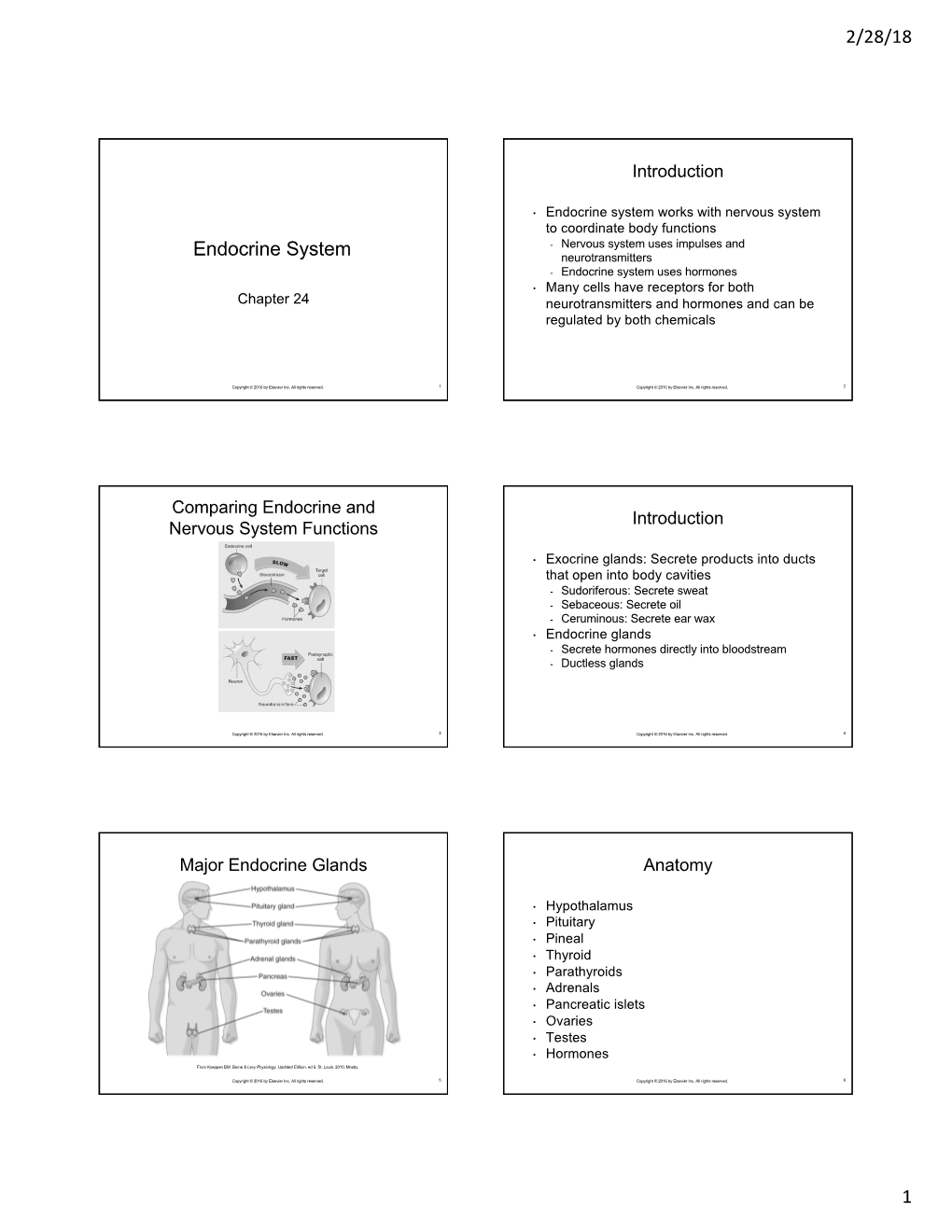 Physiology G Endocrine