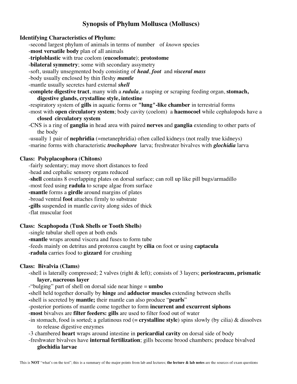 Synopsis of Phylum Mollusca (Molluscs)