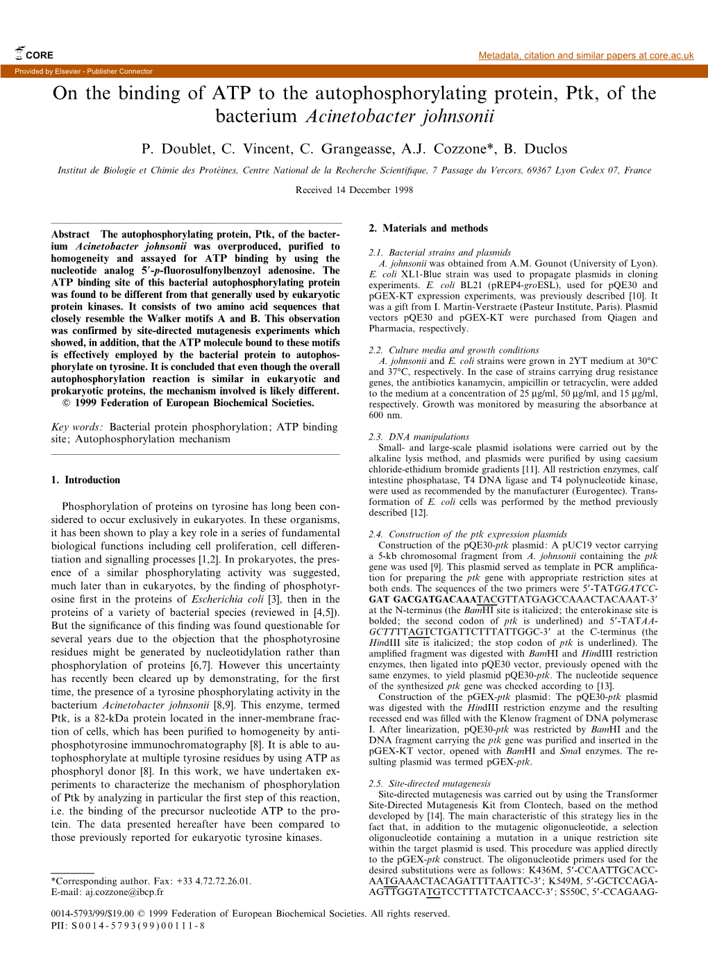 On the Binding of ATP to the Autophosphorylating Protein, Ptk, of the Bacterium Acinetobacter Johnsonii