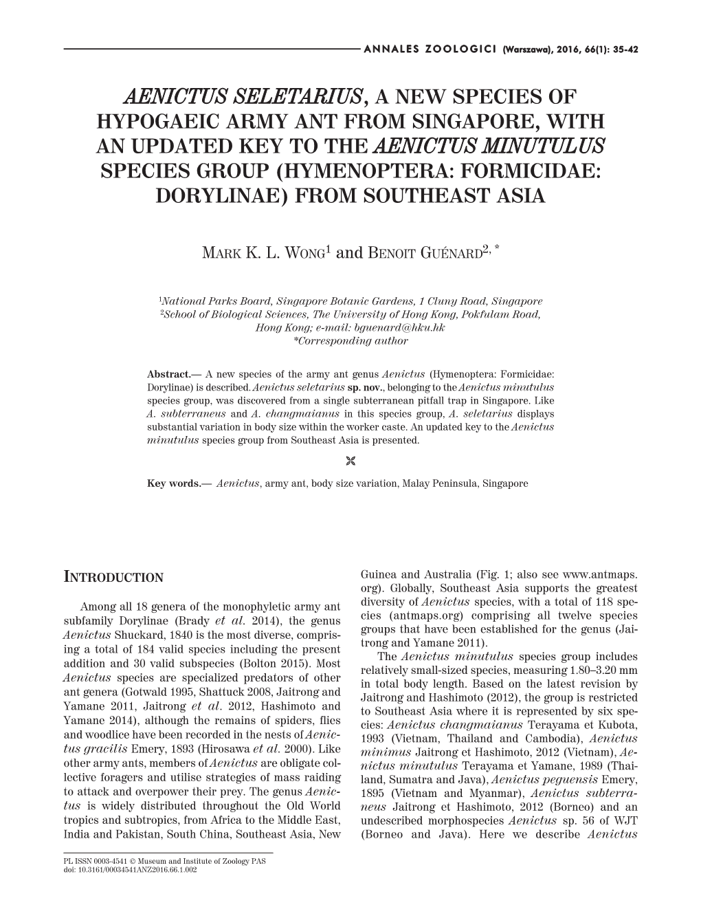 Aenictus Seletarius, a New Species of Hypogaeic Army