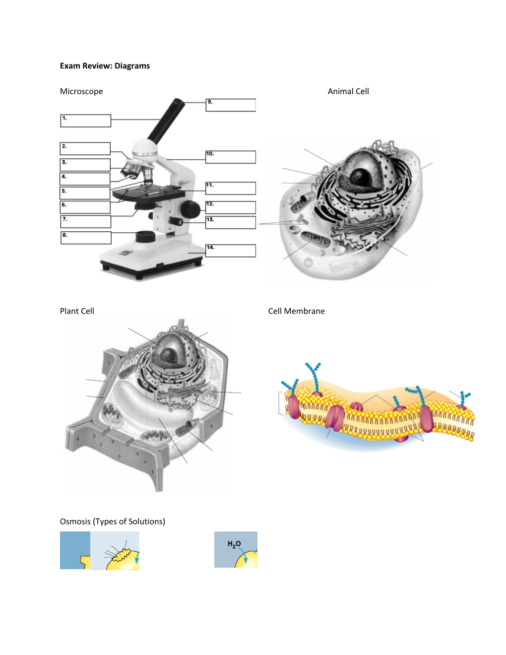 Exam Review: Diagrams