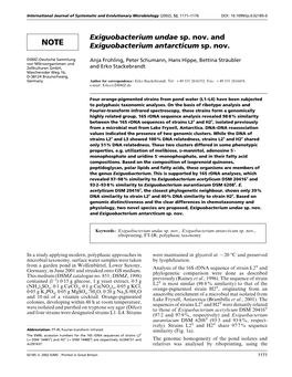Exiguobacterium Undae Sp. Nov. and Exiguobacterium Antarcticum Sp. Nov