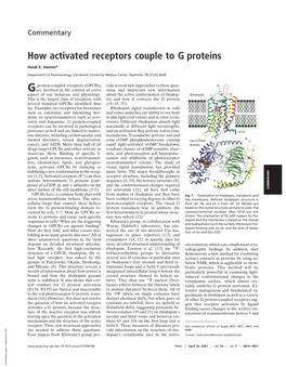 How Activated Receptors Couple to G Proteins