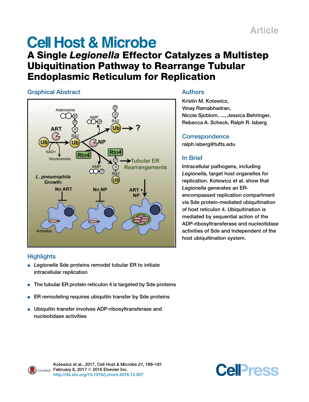 A Single Legionella Effector Catalyzes a Multistep Ubiquitination Pathway to Rearrange Tubular Endoplasmic Reticulum for Replication