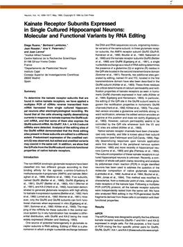 Kainate Receptor Subunits Expressed in Single Cultured Hippocampal Neurons: Molecular and Functional Variants by RNA Editing