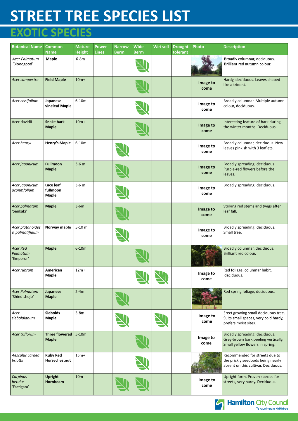 Street Tree Species List