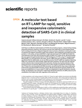 A Molecular Test Based on RT-LAMP for Rapid, Sensitive and Inexpensive