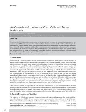An Overwiev of the Neural Crest Cells and Tumor Metastasis