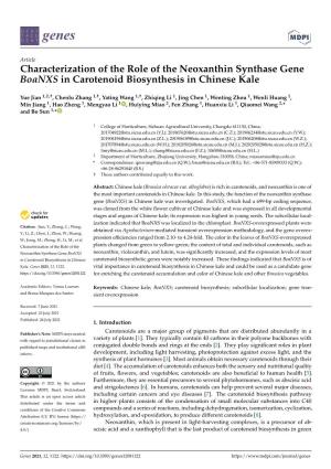 Characterization of the Role of the Neoxanthin Synthase Gene Boanxs in Carotenoid Biosynthesis in Chinese Kale
