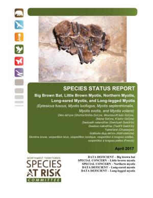 Status Report and Assessment of Big Brown Bat, Little Brown Myotis