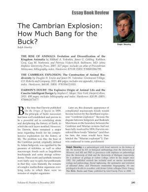 The Cambrian Explosion: How Much Bang for the Buck?