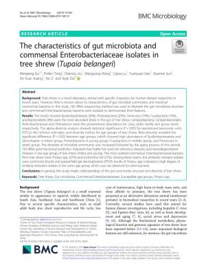 The Characteristics of Gut Microbiota and Commensal Enterobacteriaceae Isolates in Tree Shrew