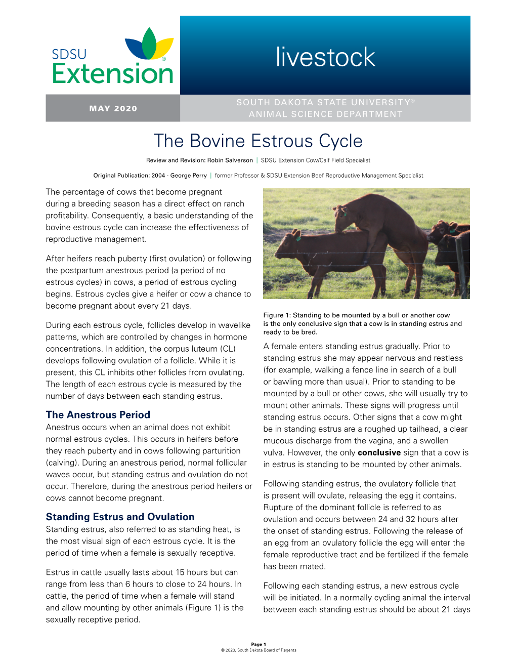 The Bovine Estrous Cycle